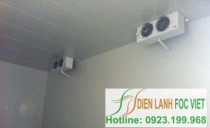 Lắp Đặt Kho Lạnh Dược Phẩm