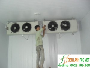 lap-dat-kho-lanh-bao-quan-kem (2)