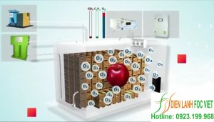 lap-dat-kho-lanh-bao-quan-rau-qua-2