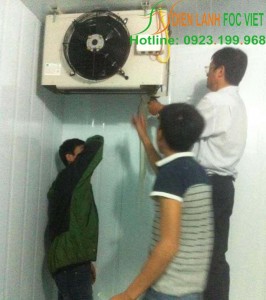 lap-dat-kho-lanh-bao-quan-socola