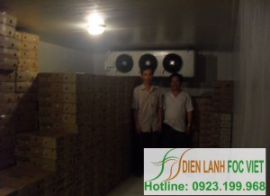 lap-dat-kho-lanh-bao-quan-sua