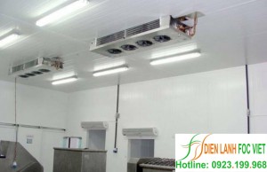 Giới thiệu lắp đặt kho lạnh bảo quản thực phẩm