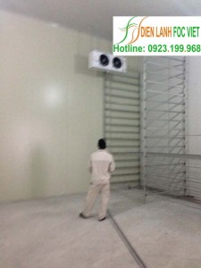 nha-lanh-nuoi-trong-nam-kim-cham