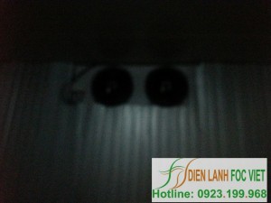 thi-cong-lap-dat-kho-lanh-bao-quan-khoai-tay