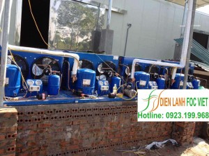 thi-cong-lap-dat-kho-lanh-bao-quan-nong-san-2