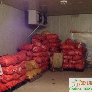 carrot-cold-storae-installation-fruit-and-agricultural-product-cold-storage