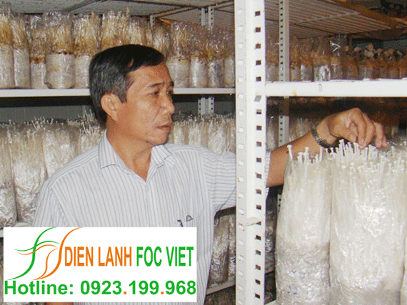 kho lạnh bảo quản nấm