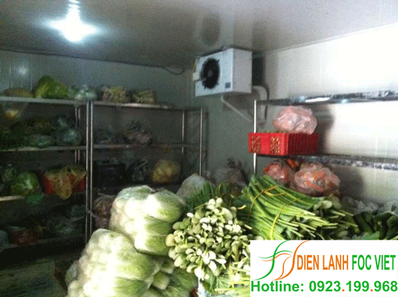 kho lạnh rau sạch
