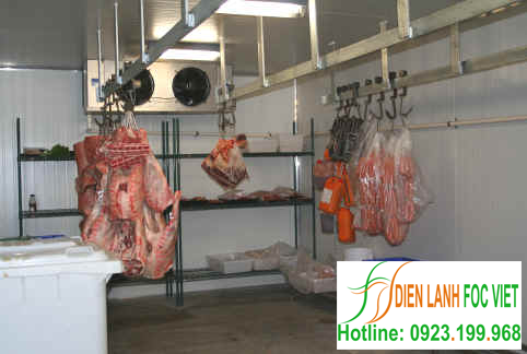 lắp đặt kho lạnh bảo quản thịt lợn