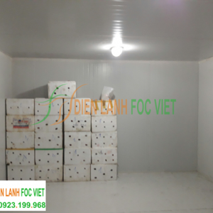 lắp kho lạnh bảo quản cam tươi